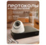 Камера видеонаблюдения IP 5Мп IP305PM-YE питание PoE, облако IPEye, с микрофоном, для помещения